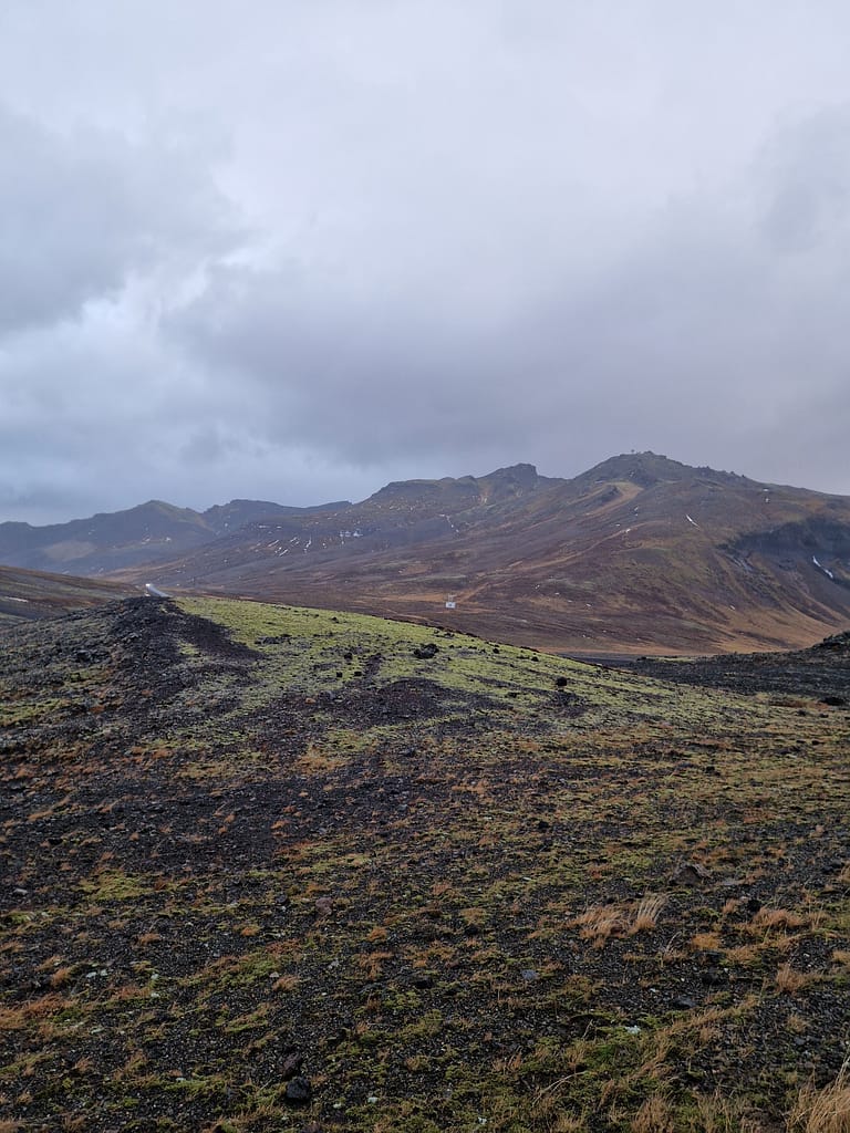 Lava field in Iceland